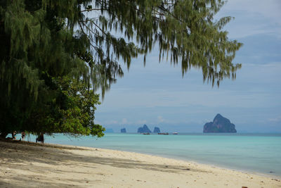 Scenic view of beach against sky