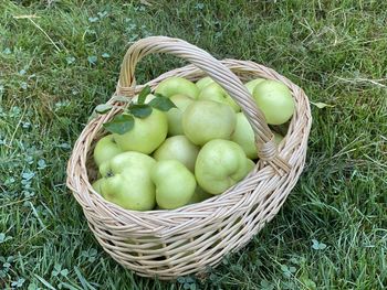 High angle view of apples in basket