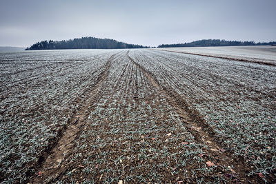 Scenic view of field against sky during winter