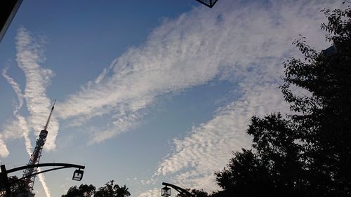 Low angle view of silhouette trees against sky