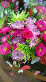 Close-up of purple flowers