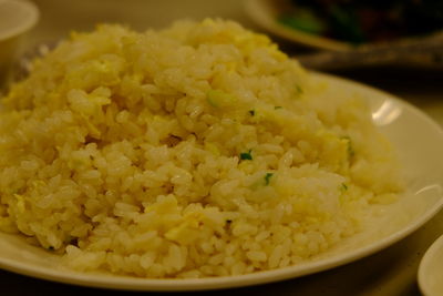 Close-up of food in bowl