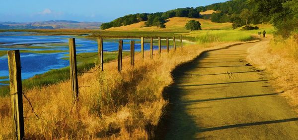 Scenic view of river amidst field against sky