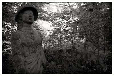 Woman standing on tree trunk