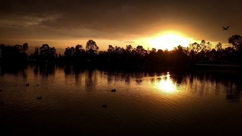 Silhouette trees by lake against sky during sunset