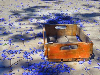 Close-up of abandoned flowers