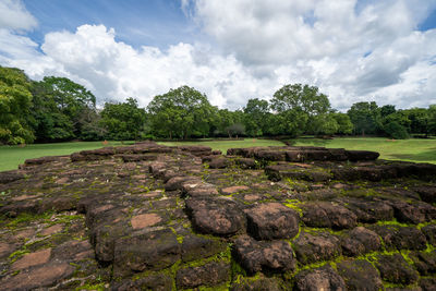 Plants and rocks on land against sky