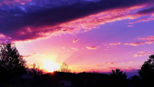 Silhouette of trees at sunset