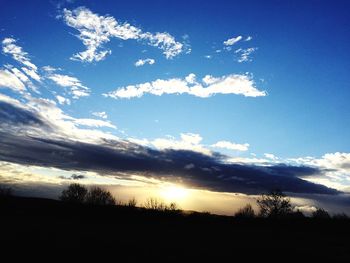 Silhouette trees on field against sky at sunset