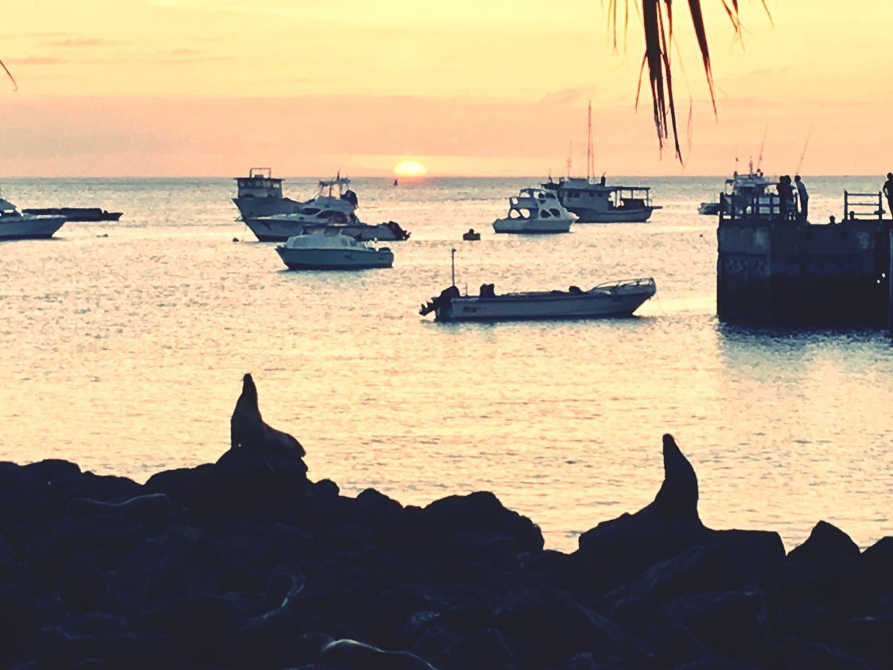 SILHOUETTE BOATS MOORED IN SEA AT SUNSET