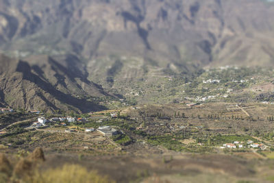 Scenic view of agricultural field