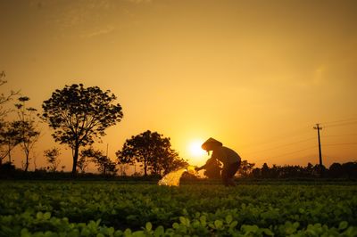 Man on field against sky during sunset