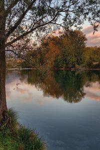 Trees by lake in forest against sky