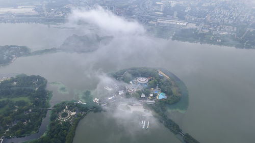 High angle view of turtle swimming in sea