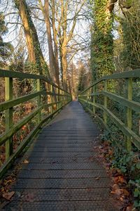 Footpath amidst trees in forest