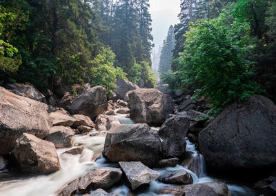 Stream flowing through rocks in forest