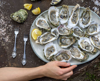 Cropped hand holding plate of oysters