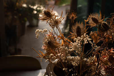 Backlited flowers in vase on the table in sunset time