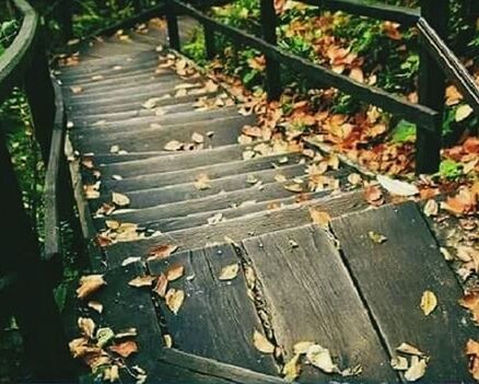 leaf, wood - material, high angle view, bench, wooden, autumn, leaves, wood, fallen, plank, dry, day, nature, outdoors, the way forward, no people, boardwalk, park - man made space, sunlight, change