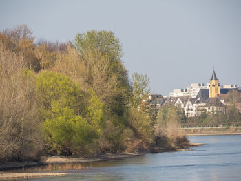 Scenic view of river by trees against clear sky