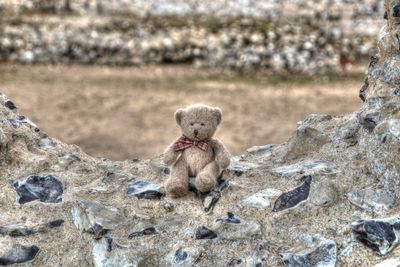 Teddy bear in a flint wall