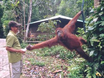 Full length of man in forest