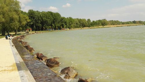 Panoramic view of trees against sky