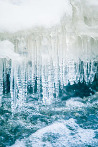 Close-up of icicles in sea during winter