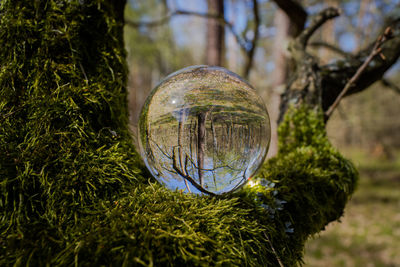 Close-up of crystal ball on glass