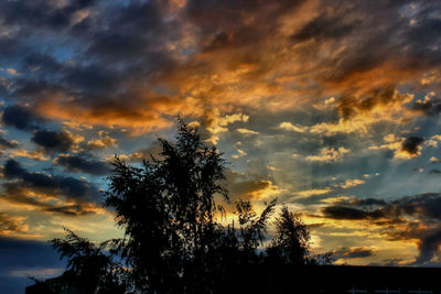 Low angle view of silhouette trees against dramatic sky