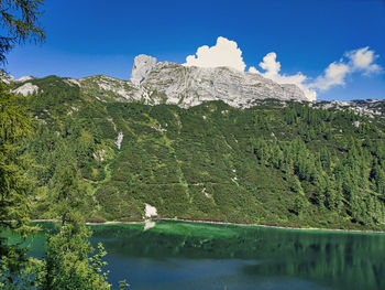 Scenic view of tree by mountain against sky