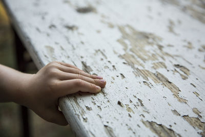 Close-up of person hand on wood