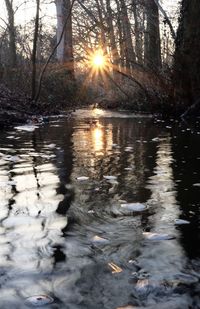 Reflection of trees on water against sky during sunset