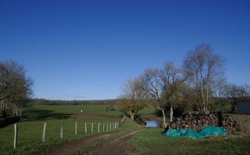 Scenic view of field against clear blue sky