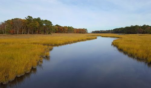 Scenic view of lake against clear sky
