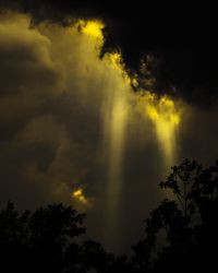 Low angle view of silhouette trees against sky at night