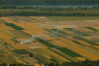 Aerial view of agricultural field