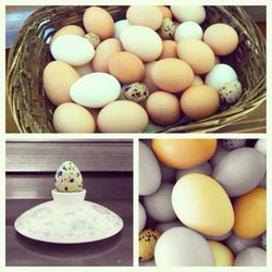 Close-up of eggs in bowl