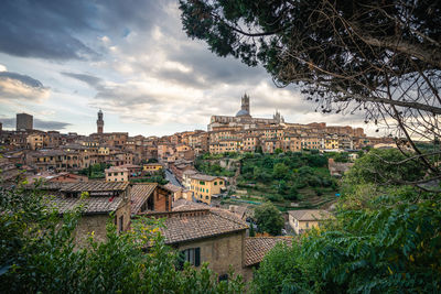 Leaf framed view over roofs on cityscape of siena, italy