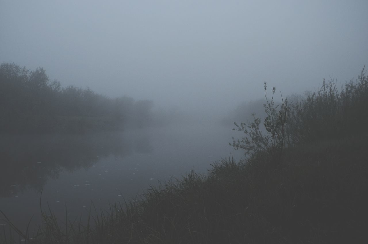 fog, tranquility, tranquil scene, beauty in nature, plant, sky, scenics - nature, tree, no people, nature, non-urban scene, environment, water, land, landscape, idyllic, outdoors, day, hazy