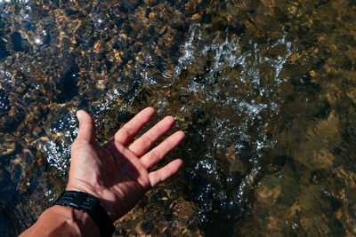 High angle view of hand on rock