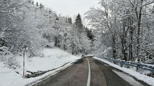 Road amidst bare trees during winter