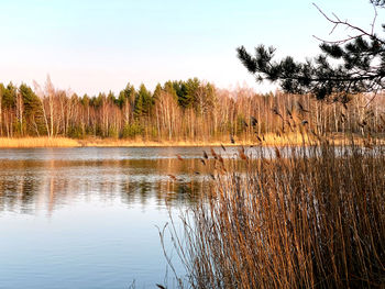 Scenic view of lake against sky