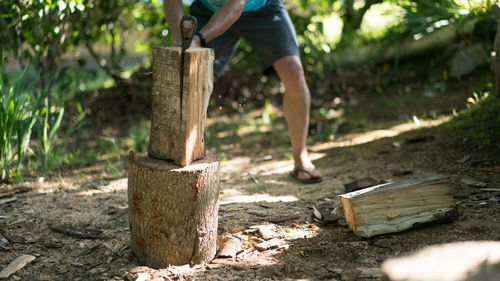 Low section of man standing on log