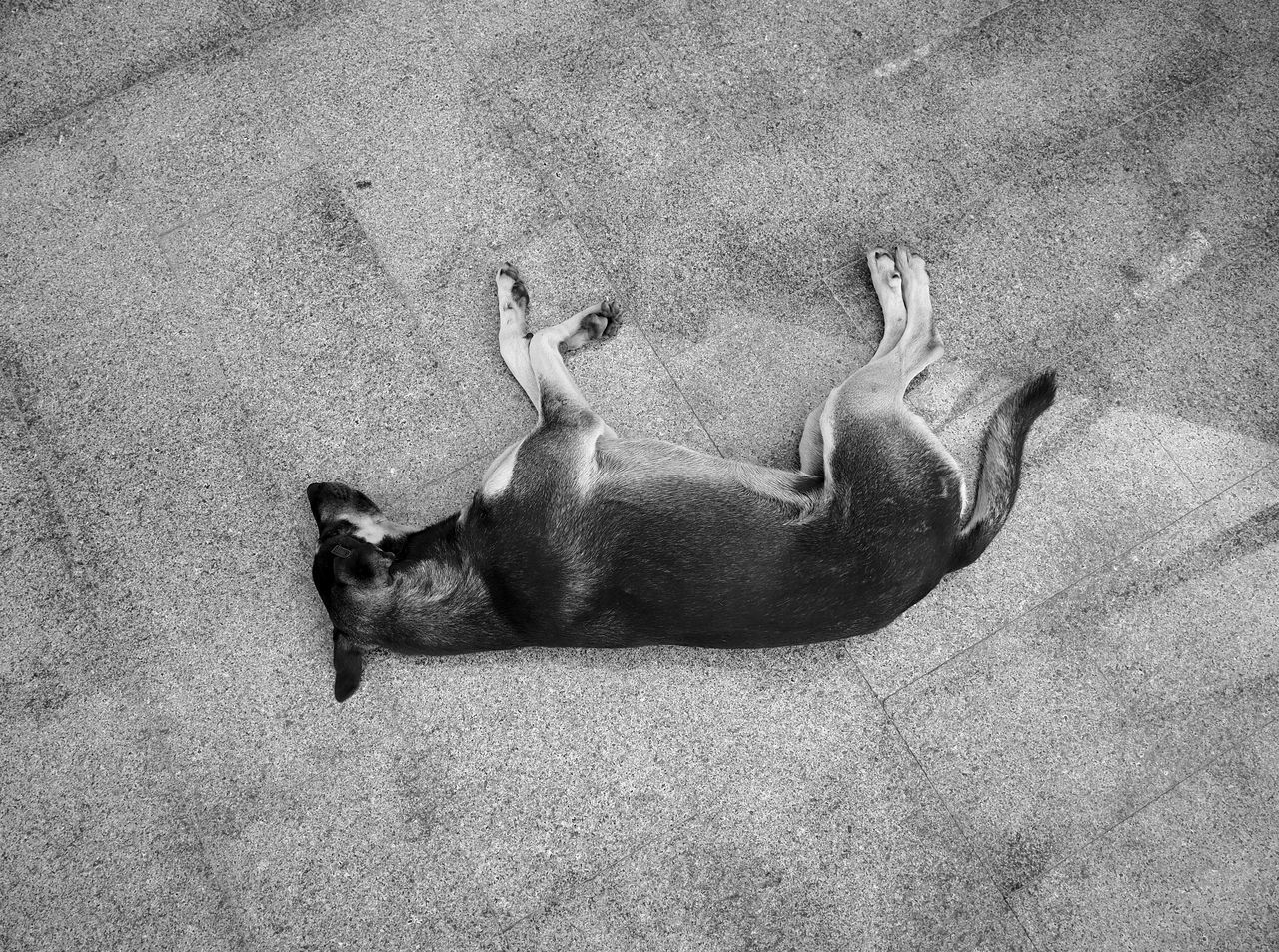 HIGH ANGLE VIEW OF LYING DOWN