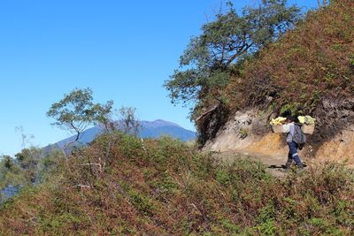 Rear view of mature man with backpack walking on mountain against clear blue sky during sunny day