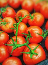 Full frame shot of tomatoes