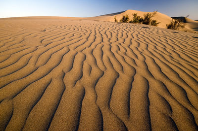 Sand dune in desert against sky