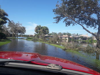 Scenic view of palm trees against sky