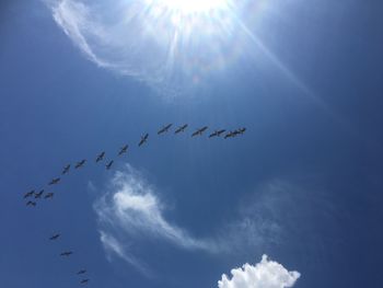 Low angle view of birds flying in sky